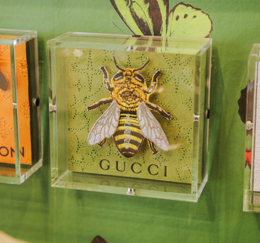 Gucci Bee Petite 5x5