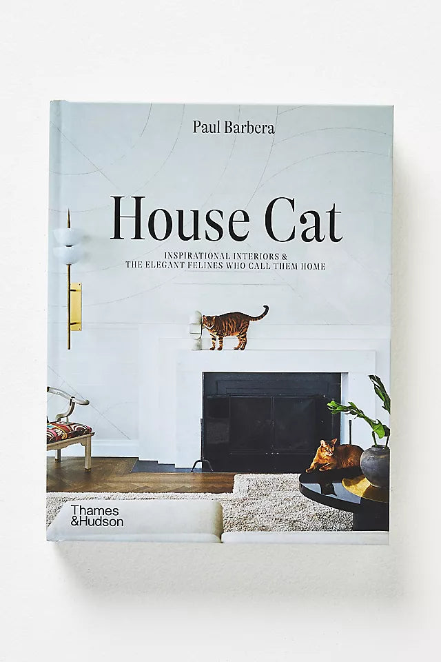 House Cat