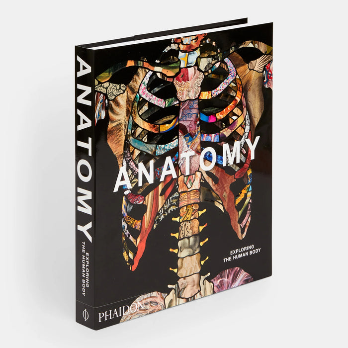 Anatomy - Exploring the Human Body Book