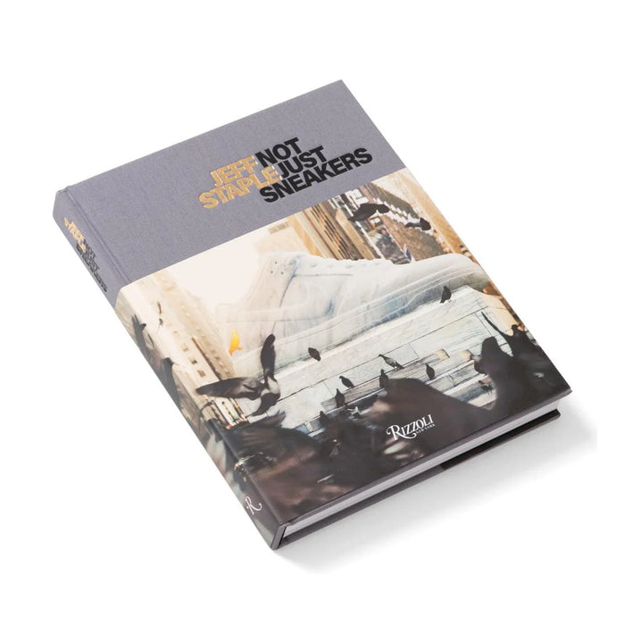 Not Just Sneakers Book