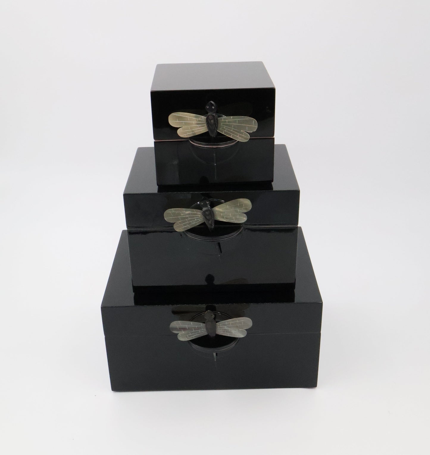 Lacquered Dragonfly Boxes