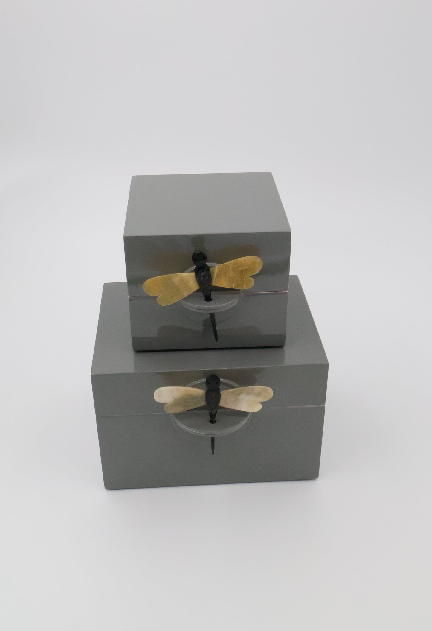 Lacquered Dragonfly Boxes