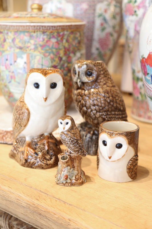 Owl Collection