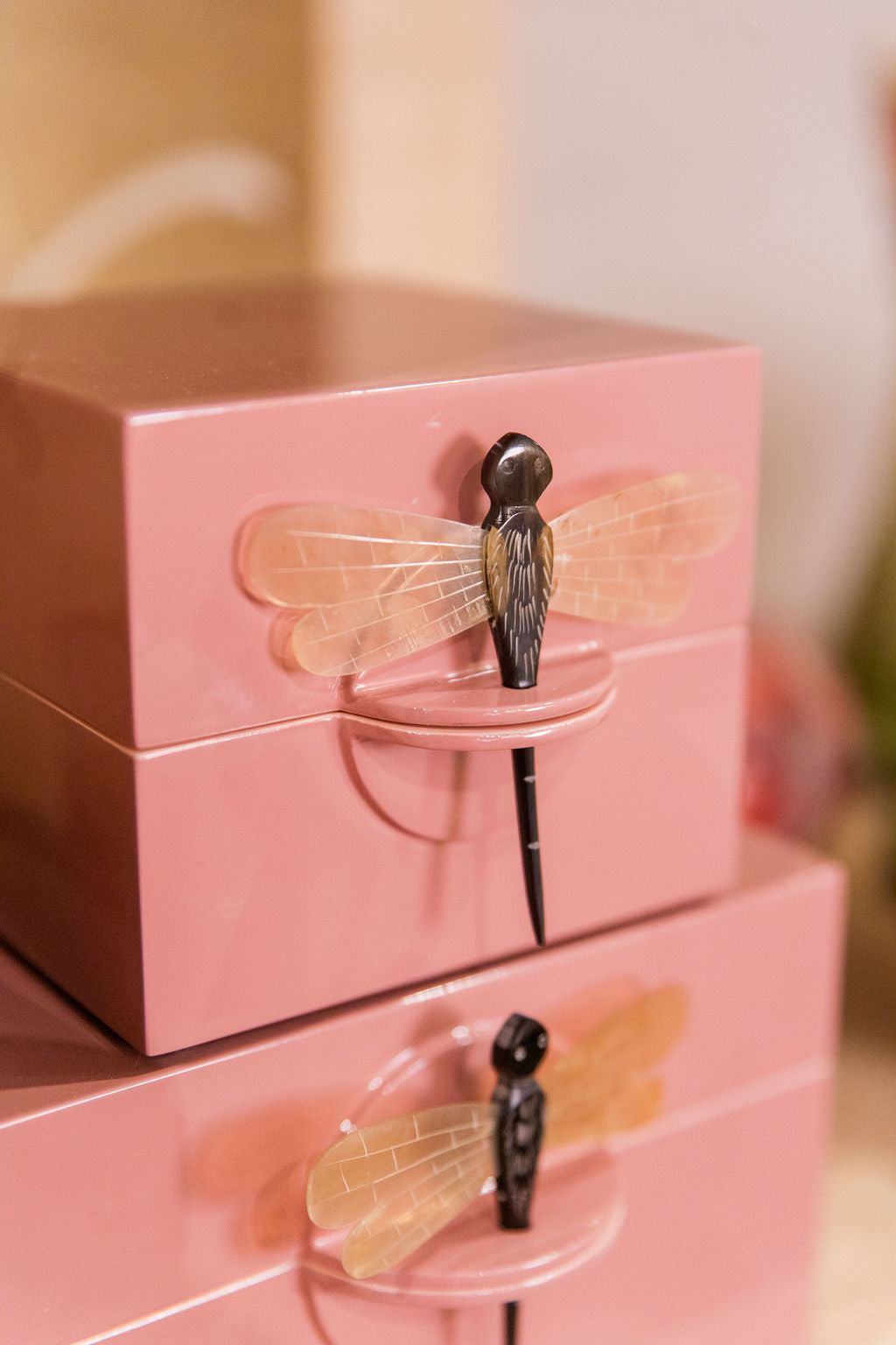 Lacquered Dragonfly Boxes