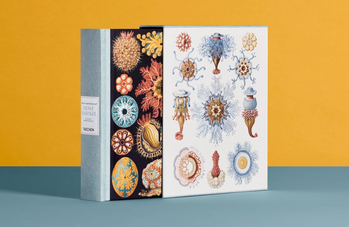 The Art and Science of Ernst Haeckel book